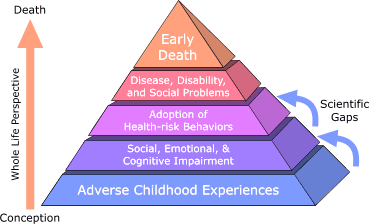 The ACE Study