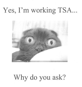 TSA Chipmunk