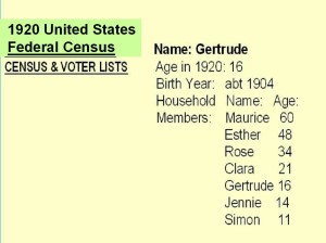 Luggage 1920 Census v3