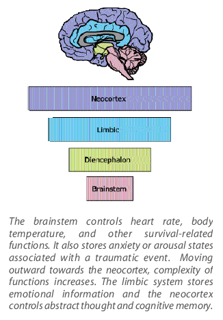 Rhythm Regulates the Brain: The Impact of Music (& More) on Mental Health -  Mad In America