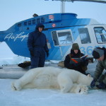 polar_bear_biologist_usfws_helicopter