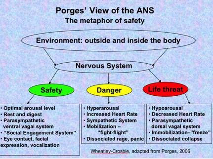 Image result for polyvagal theory